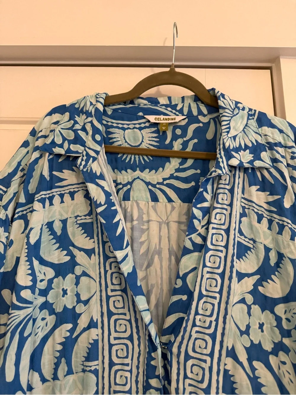 Anthro Carolita Blue Floral Maxi Dress - Picture 2 of 6